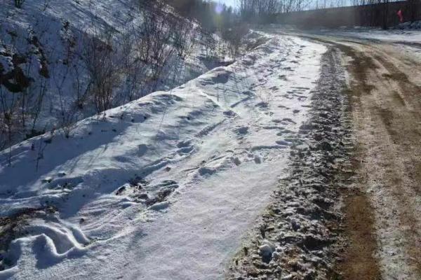 国内首次!东北虎“猎杀”东北豹!专家:它是“在家遇害” 国内首次!东北虎“猎杀”东北豹!专家:它是“在家遇害”