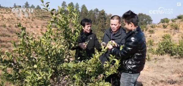 2023民生答卷厚植高颜值生态“绿”底色 美丽中国再谱新篇 2023民生答卷厚植高颜值生态“绿”底色 美丽中国再谱新篇