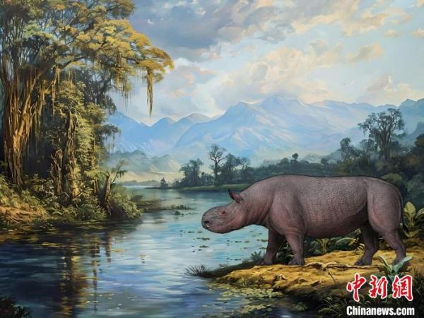 这件1700万年前化石的发现 撩开了巨獠犀的神秘面纱 这件1700万年前化石的发现 撩开了巨獠犀的神秘面纱