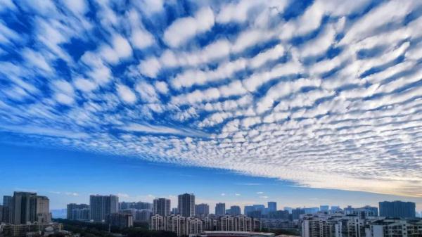 “鱼鳞”刷屏！冷空气赶到！厦门跨年夜“冻”感十足......