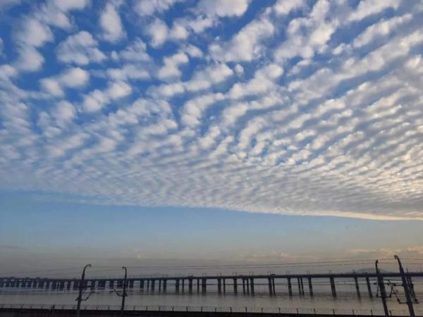 “鱼鳞”刷屏！冷空气赶到！厦门跨年夜“冻”感十足......