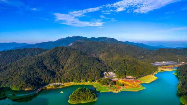 广州跻身热门跨年夜目的地前三! 广州跻身热门跨年夜目的地前三!