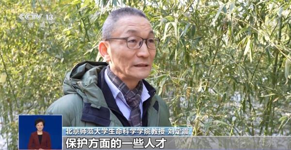 旅行结束！今年17只旅居大熊猫返回家乡