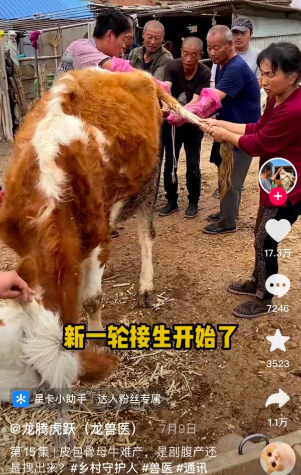 81岁爷爷教种地，“听课”的大学生真不少！