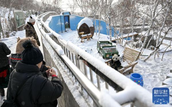 内蒙古卓资县：冰雪旅游度假期