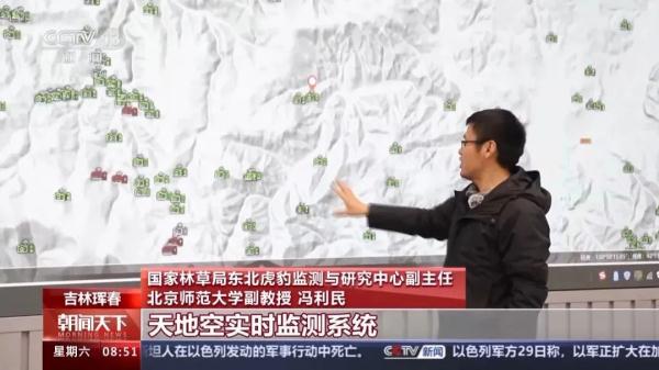 “东北虎咬死东北豹”,肇事虎已被锁定! “东北虎咬死东北豹”,肇事虎已被锁定!