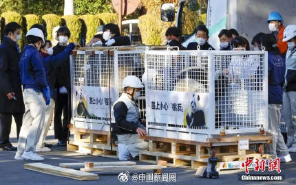 欢迎回家！2023年17只旅外大熊猫回国