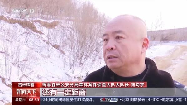 “东北虎咬死东北豹”,肇事虎已被锁定! “东北虎咬死东北豹”,肇事虎已被锁定!