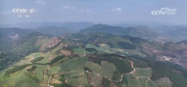 多地农作物喜迎丰收 特色产业激发乡村振兴“新引擎”