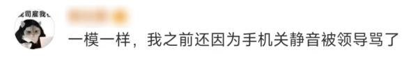 女子离职后把手机静音1年:找回了一种陌生的幸福感 女子离职后把手机静音1年:找回了一种陌生的幸福感