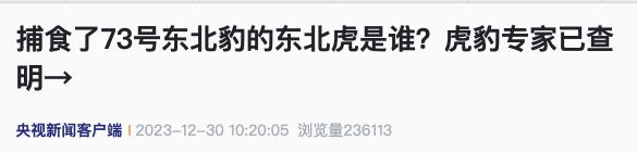 “东北虎咬死东北豹”，专家破案了