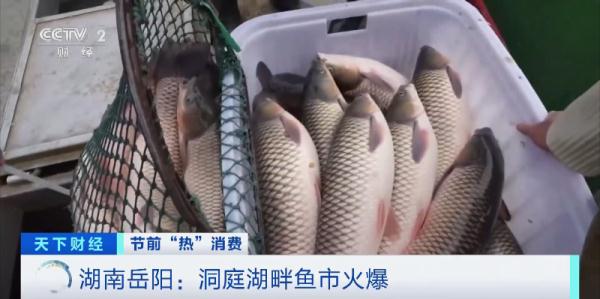 太火爆！消费者拿着麻袋抢购！什么这么火？