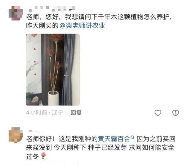 81岁爷爷教种地，“听课”的大学生真不少！