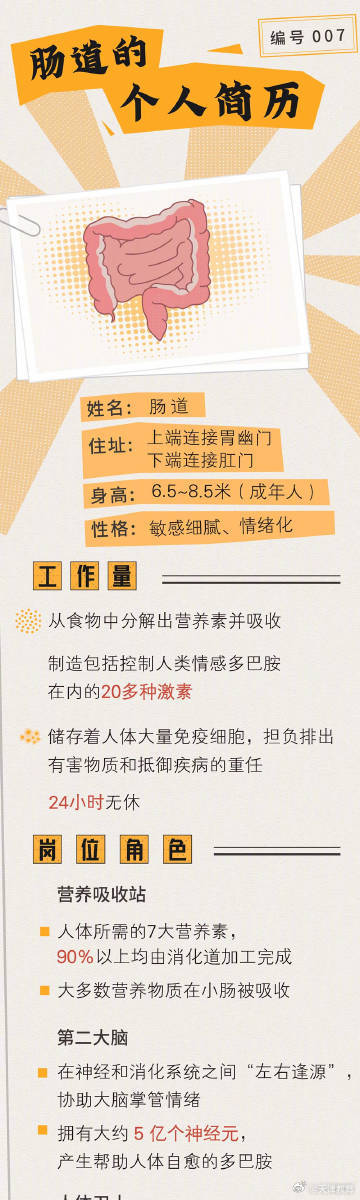 肠胃不好的人容易焦虑