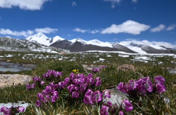 “中华水塔”水源涵养量提升 生态环境持续向好