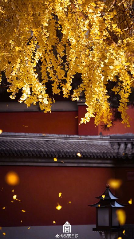 收藏!2023故宫二十四节气图鉴 收藏!2023故宫二十四节气图鉴