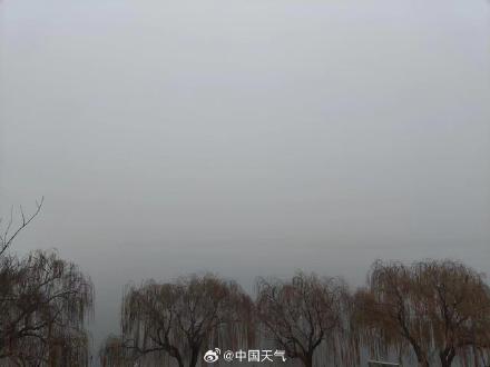 浓雾笼罩!山东浓雾弥漫太阳变白灯球 浓雾笼罩!山东浓雾弥漫太阳变白灯球