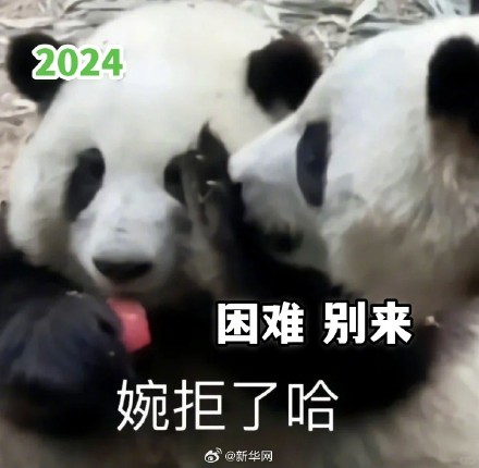转发收藏！熊猫新年表情包来了！