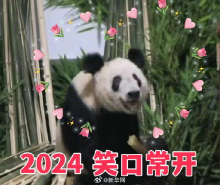 转发收藏！2024熊猫新年表情包