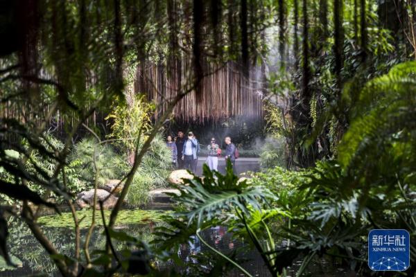 绿城冬日 绿城冬日