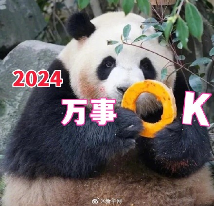 转发收藏！2024熊猫新年表情包