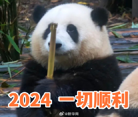 转发收藏！2024熊猫新年表情包