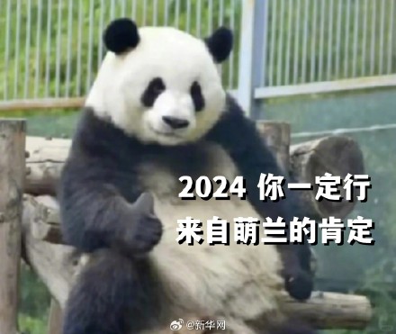转发收藏！熊猫新年表情包来了！