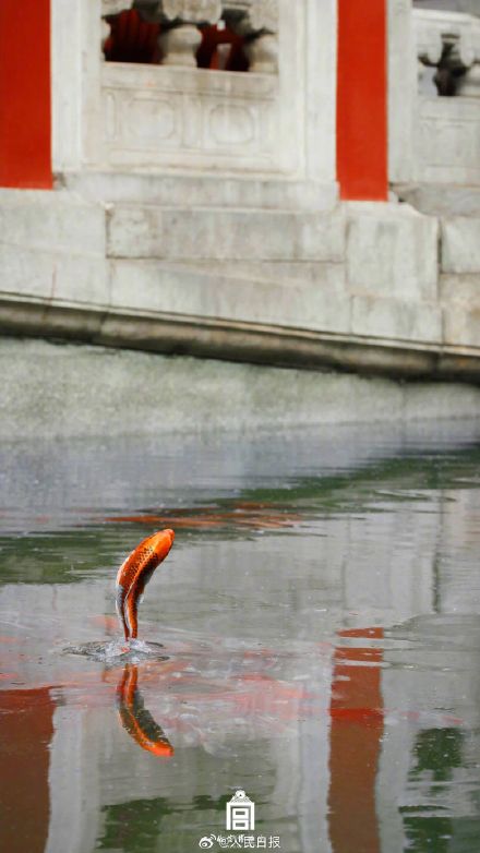 收藏!2023故宫二十四节气图鉴 收藏!2023故宫二十四节气图鉴