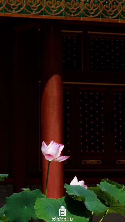 收藏!2023故宫二十四节气图鉴 收藏!2023故宫二十四节气图鉴