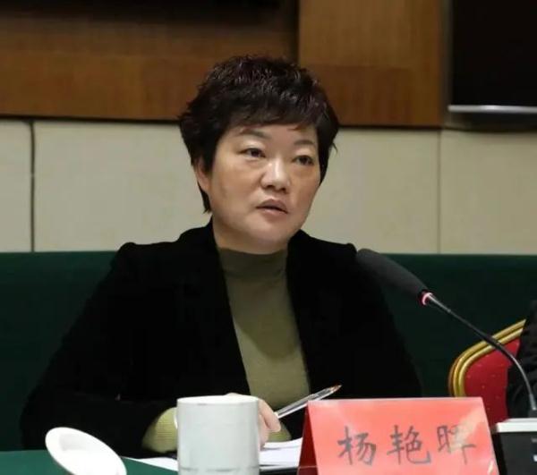 落马女县长被“双开”：泄露秘密、计划外生育、伙同他人非法收受巨额财物