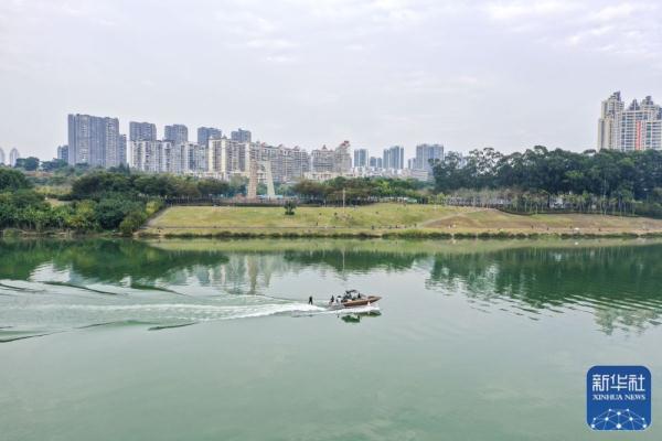 绿城冬日 绿城冬日