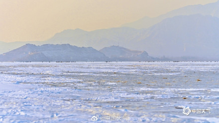 冬日灵动！北京官厅水库鹤舞冰湖