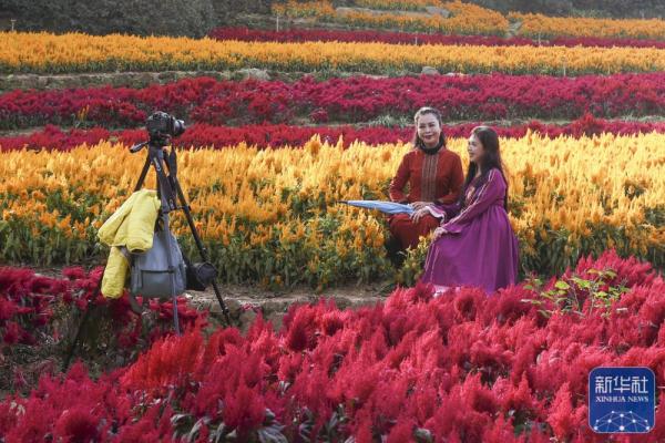 绿城冬日 绿城冬日