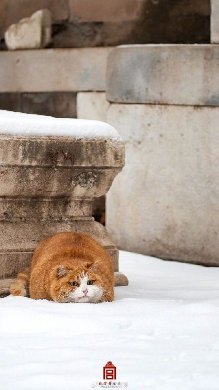 收藏!2023故宫二十四节气图鉴 收藏!2023故宫二十四节气图鉴