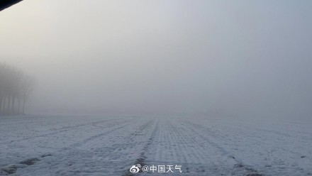 浓雾笼罩!山东浓雾弥漫太阳变白灯球 浓雾笼罩!山东浓雾弥漫太阳变白灯球