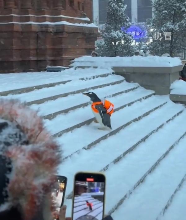 “尔滨,你让我感到陌生......” “尔滨,你让我感到陌生......”