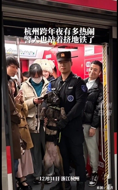 太热闹，跨年夜警犬“被迫”双脚站着挤地铁