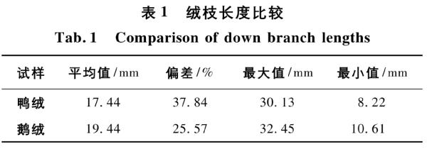 羽绒服有鸭绒、鹅绒，为什么没有“鸡绒”？