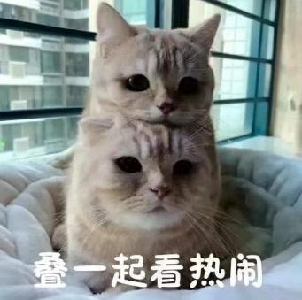 就在明天!抬头可见“年度最大太阳” 就在明天!抬头可见“年度最大太阳”