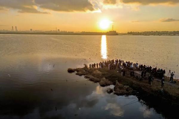 元旦假期最热门旅游目的地！昆明上榜→