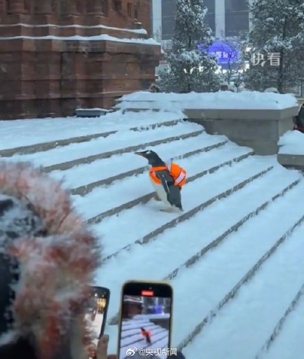 哈尔滨有好东西是真往外掏啊