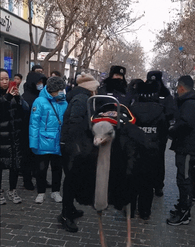 哈尔滨有好东西是真往外掏啊