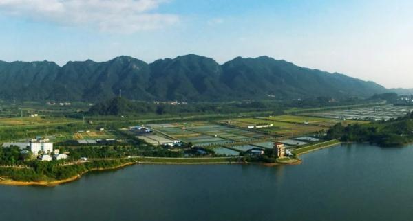 广东一地公示8名“躺平休闲人员”！当地最新回应