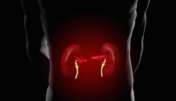 冬季养肾?这些都做错了!专家提醒:不补反伤! 冬季养肾?这些都做错了!专家提醒:不补反伤!