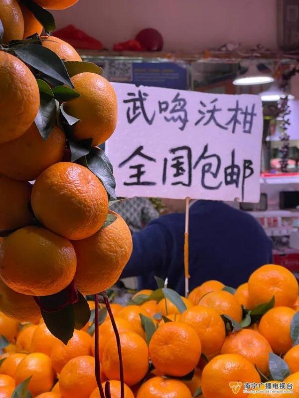 武鸣沃柑陆续上市！目前的价格如何？记者走访→