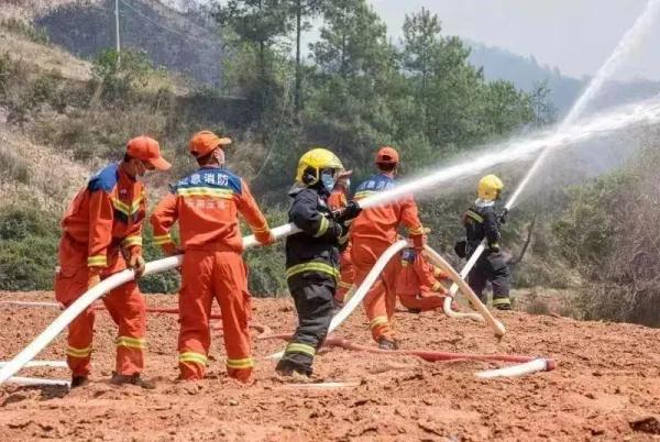 男子烧豌豆杆致33公顷山林被烧，被判三年六个月