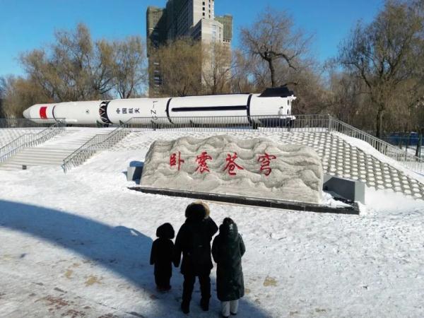 听说在哈尔滨，树枝都不闲着？