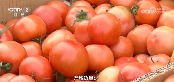 元旦春节期间蔬菜市场呈现供销两旺态势 居民“菜篮子”货足价稳