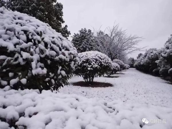 雪雪雪雪雪……云南一地迎来2024年首场降雪！