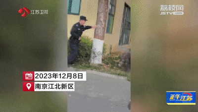 已肇事多起！野蛮冲撞、顶人咬人……前方，野猪凶猛！